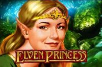 Elven Princess